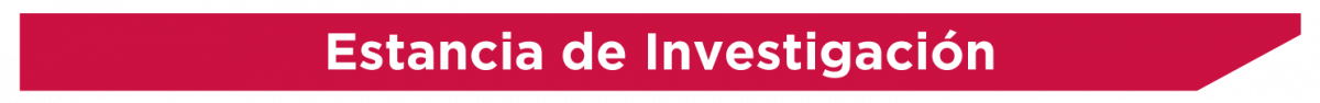 Estancia de Investigación