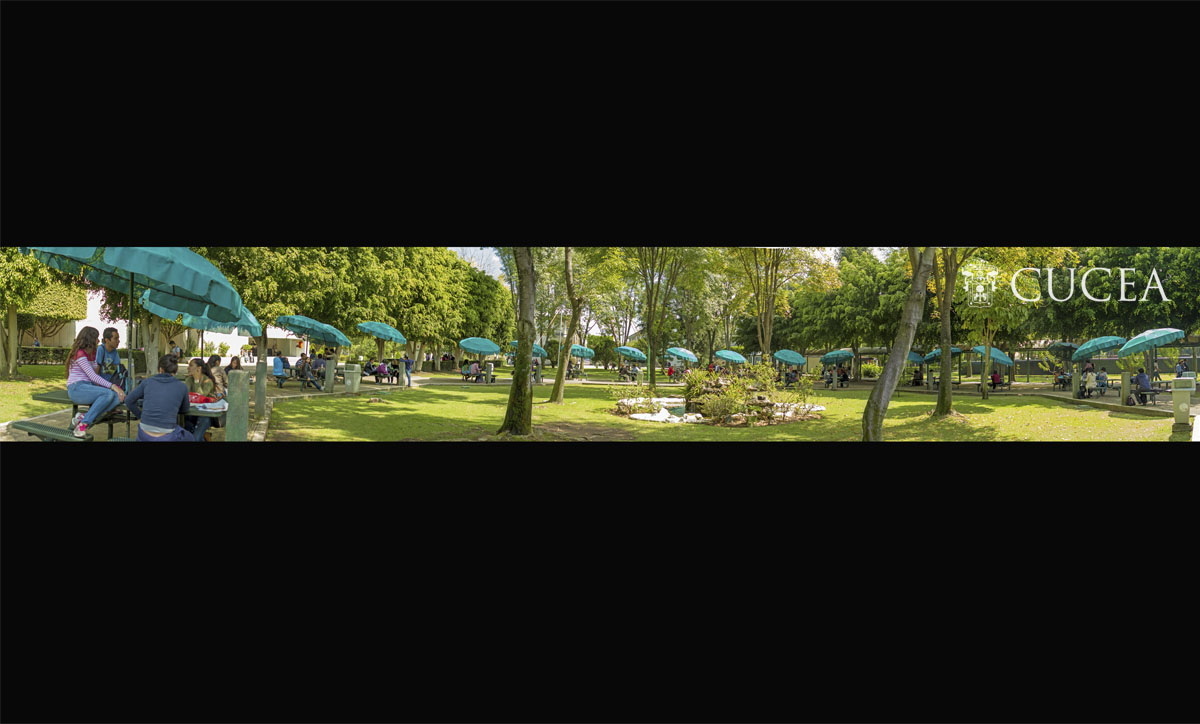 Panorámica Ciber Jardín