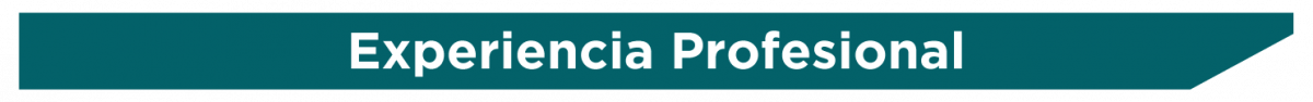 Estancia de Investigación