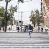Paso peatonal y única vía para el paso entre CUCEA y  la Biblioteca Pública 